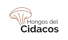 HONGOS DEL CIDACOS
